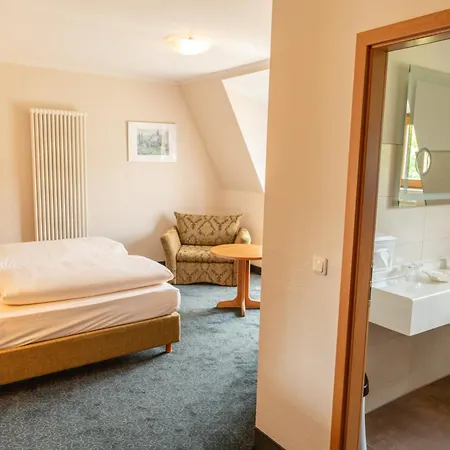 Kloster Nimbschen 4 Sterne 4* 그림마